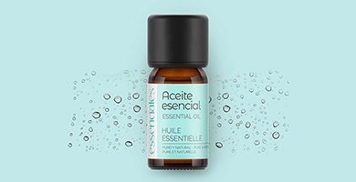 Aceite de árbol de té para curar hongos en la cabeza