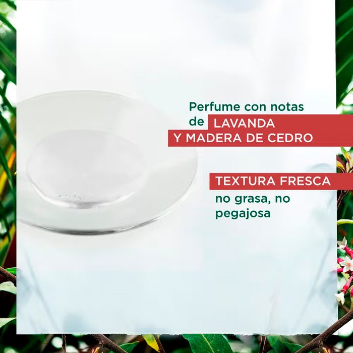 Klorane Sérum Anticaída 4